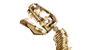 Image : LEGO 76968 Les fossiles de dinosaures: le Tyrannosaurus rex Jurassic World
