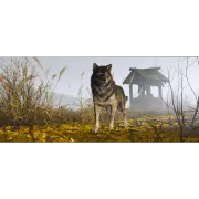 Image : Ghost of Yotei  PS5