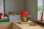 Image : LEGO 10348 Bonsaï d'érable rouge du Japon The Botanical Collection
