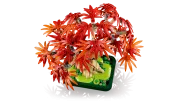 Image : LEGO 10348 Bonsaï d'érable rouge du Japon The Botanical Collection