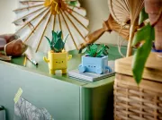 Image : LEGO 10349 Petites plantes souriantes The Botanical Collection