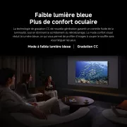 Image : Xiaomi TV F 65 2026 65'