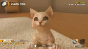 Image : Little Friends Dogs & Cats Nintendo Switch