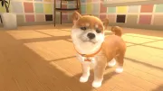 Image : Little Friends Dogs & Cats Nintendo Switch
