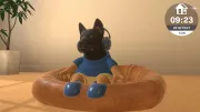 Image : Little Friends Dogs & Cats Nintendo Switch
