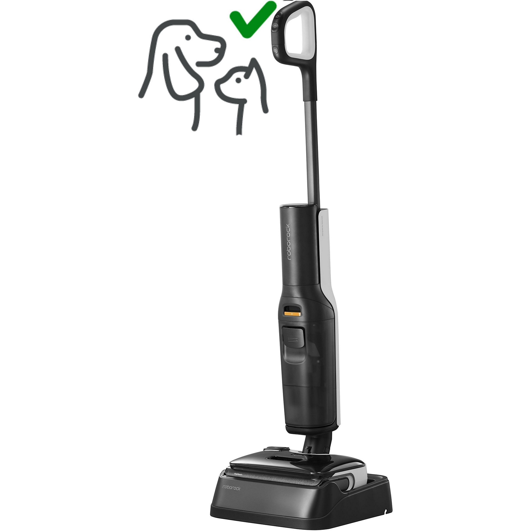 Image : ROBOROCK F25 Grey Aspirateur laveur