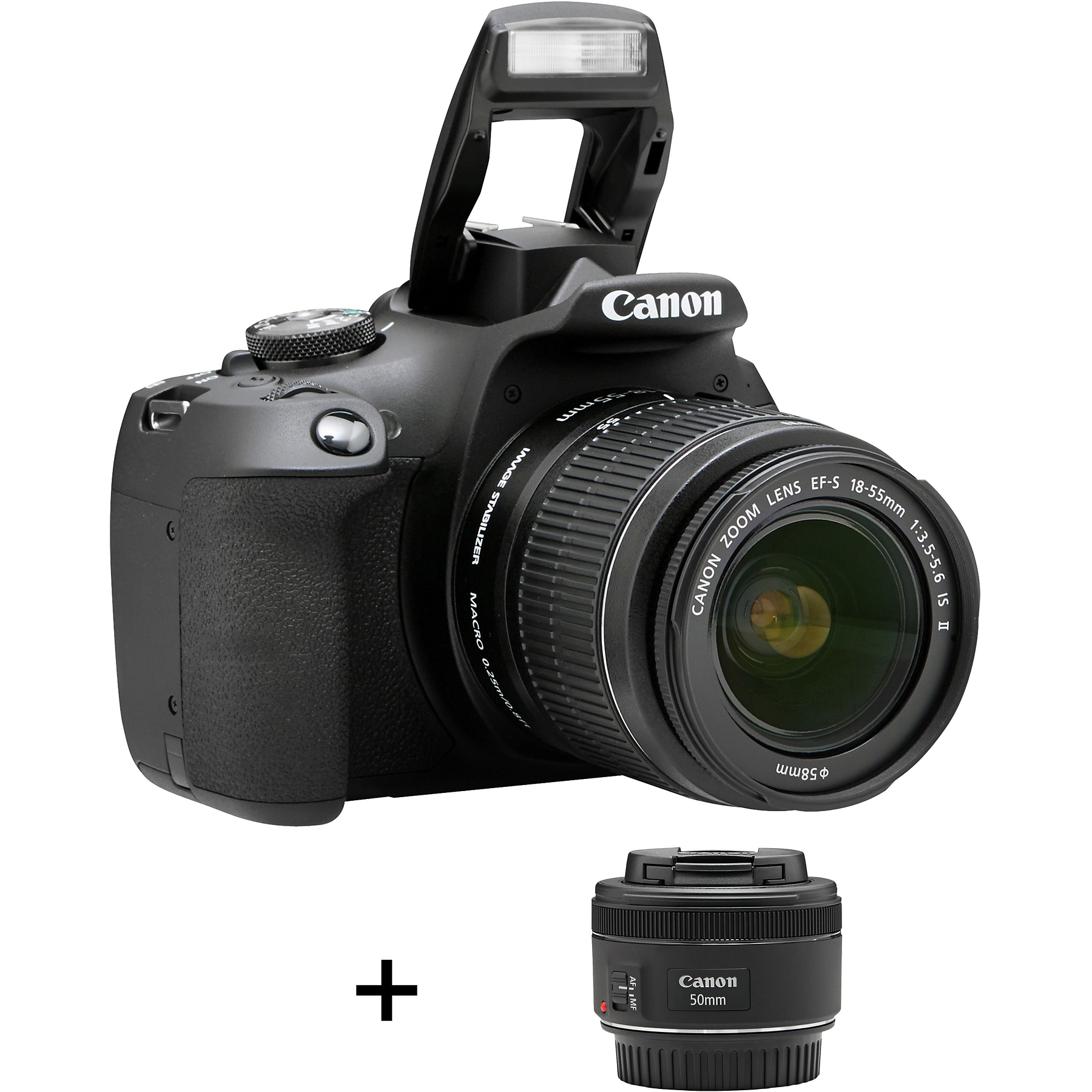 Image : CANON EOS 2000D + EF-S 18-55 IS II + EF 50mm Appareil photo Reflex