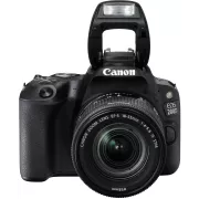 Image : CANON EOS 2000D + EF-S 18-55 IS II + EF 50mm Appareil photo Reflex