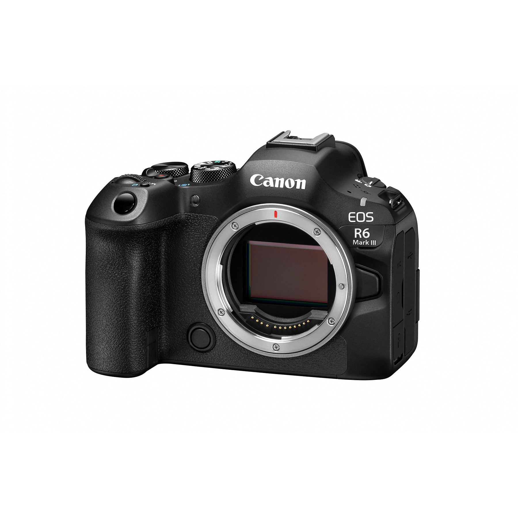 Image : CANON EOS R6 Mark III - Boitier nu - Appareil photo Hybride