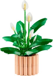 Image : LEGO 11504 Les fleurs de lune Botanicals