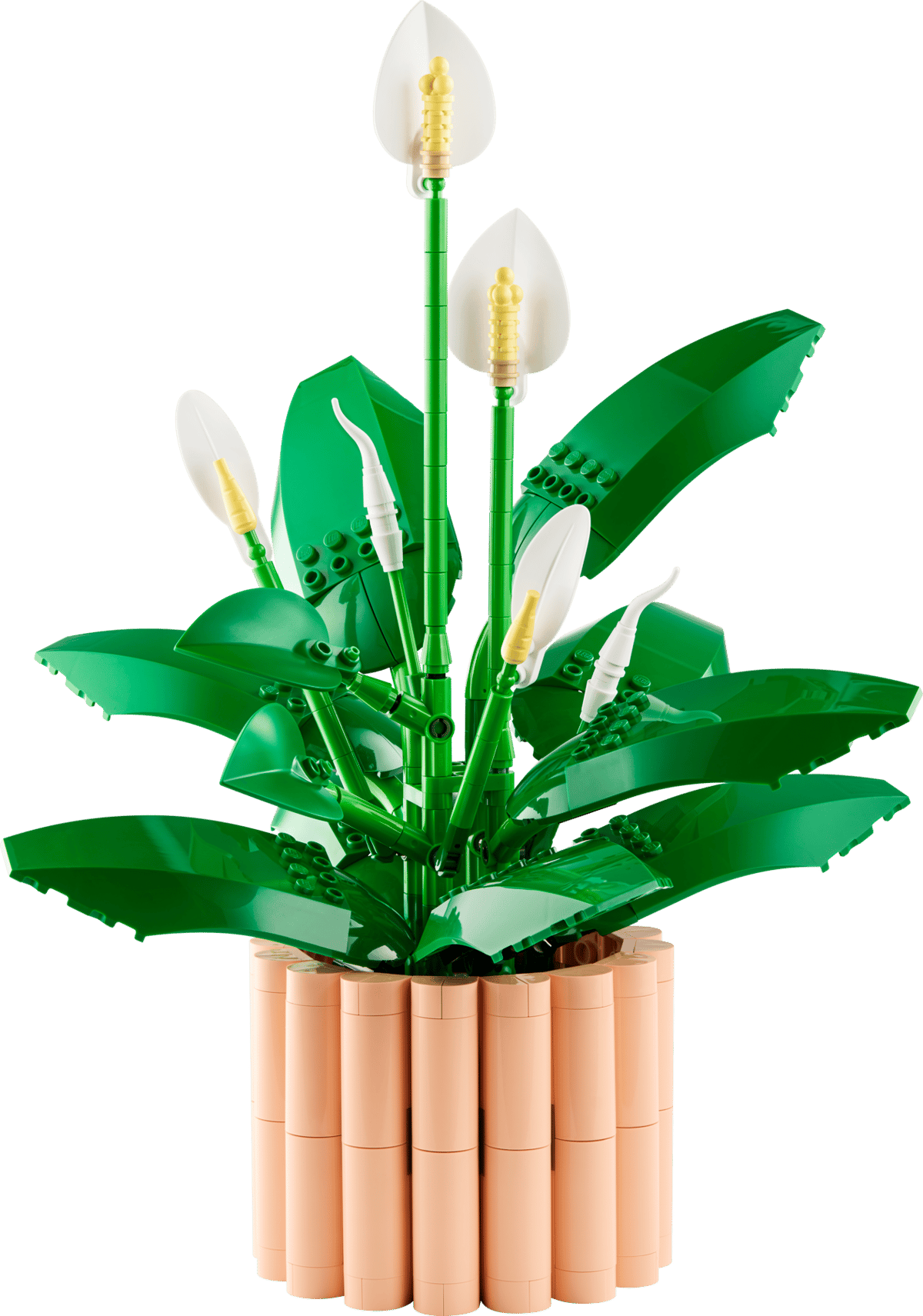 Image : LEGO 11504 Les fleurs de lune Botanicals