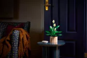 Image : LEGO 11504 Les fleurs de lune Botanicals