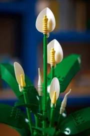 Image : LEGO 11504 Les fleurs de lune Botanicals
