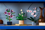 Image : LEGO 11504 Les fleurs de lune Botanicals