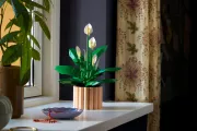 Image : LEGO 11504 Les fleurs de lune Botanicals