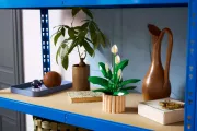 Image : LEGO 11504 Les fleurs de lune Botanicals