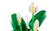 Image : LEGO 11504 Les fleurs de lune Botanicals