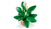 Image : LEGO 11504 Les fleurs de lune Botanicals