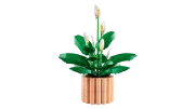 Image : LEGO 11504 Les fleurs de lune Botanicals