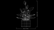 Image : LEGO 11504 Les fleurs de lune Botanicals
