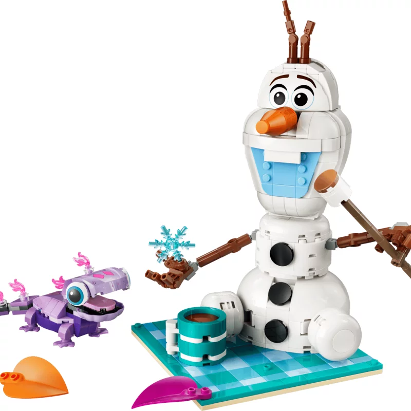 Image : LEGO 43287 Le pique-nique d'Olaf et Bruni Disney Princess