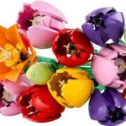 LEGO 11501 Le bouquet de tulipes Botanicals