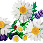 LEGO 11508 Marguerites Botanicals