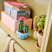 Image : LEGO 11509 Cactus fleuri Botanicals