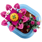 Image : LEGO 11509 Cactus fleuri Botanicals