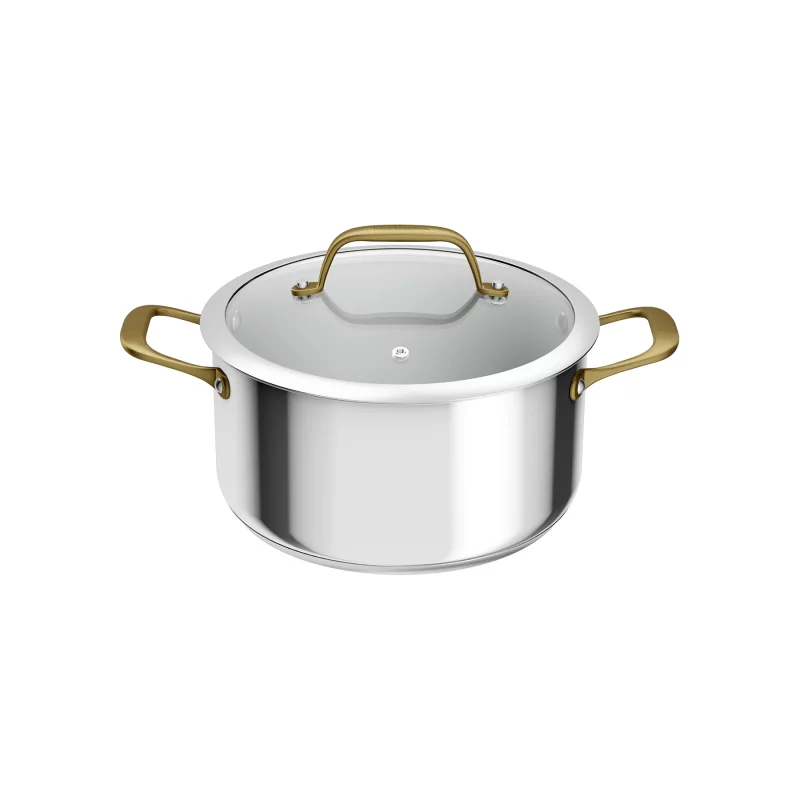 Image : TEFAL Faitout 24cm Edition Bocuse