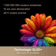 Image : DREAME 55Q100 - TV QLED 55'