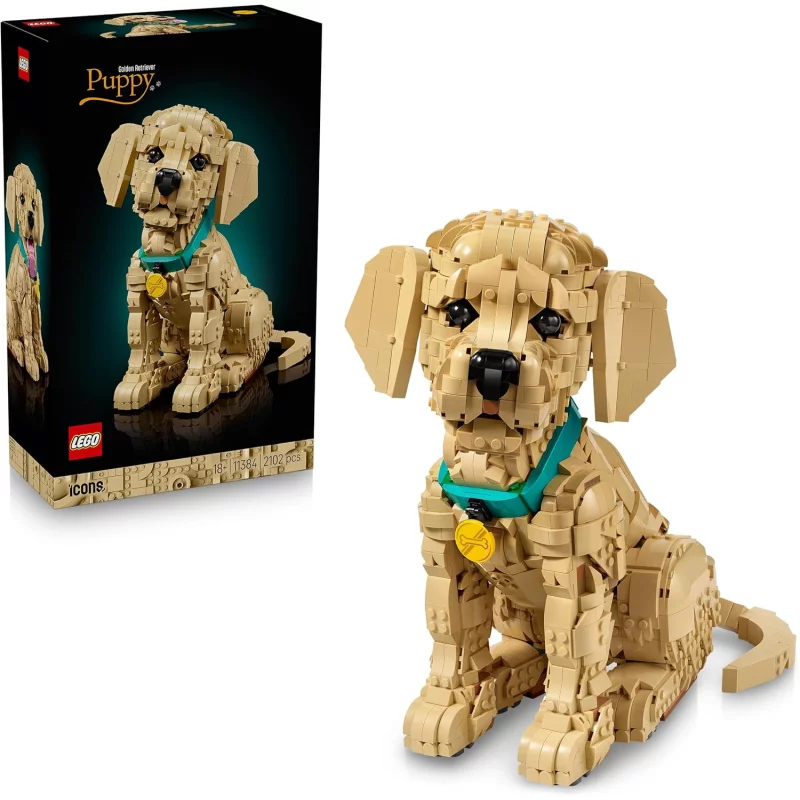 Image : LEGO 11384 Le chiot Golden Retriever - Icons