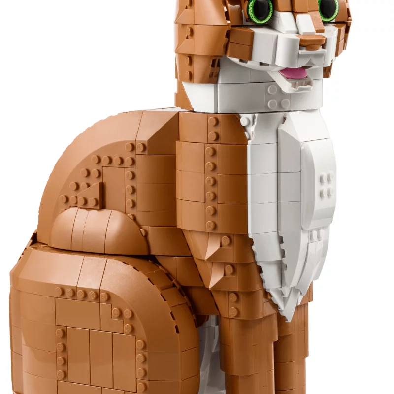 Image : LEGO 21376 Le chat roux - Ideas