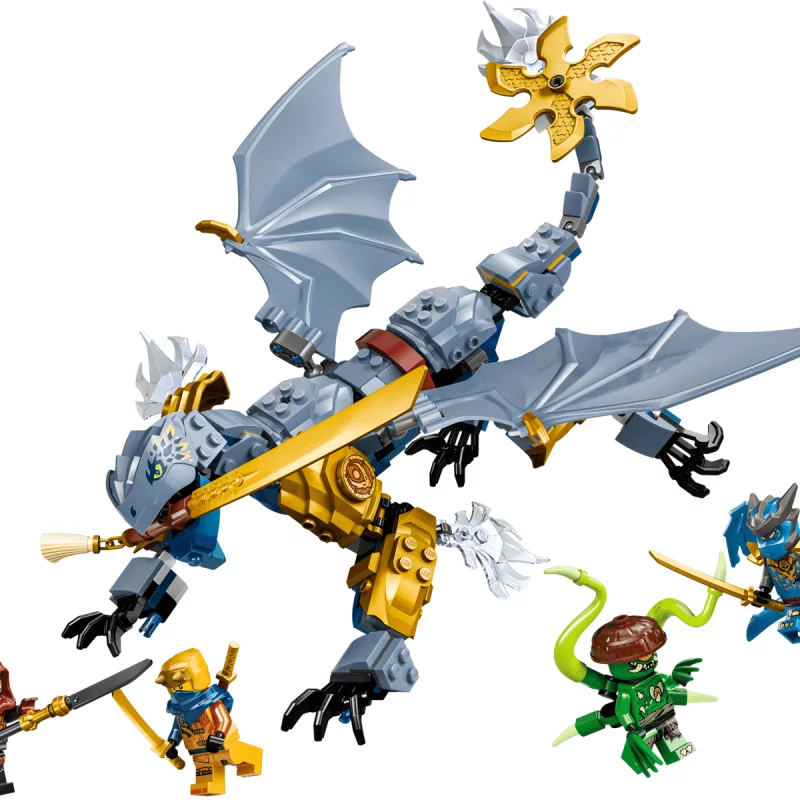 Image : LEGO 71855 Le combat du Dragon Riyu - NINJAGO