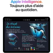 Image : Apple IPAD Air 13 M4 128Go Gris Sidéral 2026 - Tablette