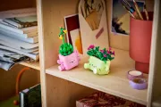 Image : LEGO 11506 Petites plantes dansantes - Botanicals