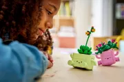 Image : LEGO 11506 Petites plantes dansantes - Botanicals