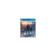 Wasteland 3 : Day One Edition pour PS4