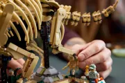 Image : LEGO 77985 Les fossiles de dinosaure: le tricératops - Jurassic World