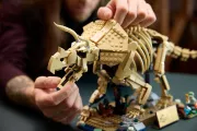 Image : LEGO 77985 Les fossiles de dinosaure: le tricératops - Jurassic World