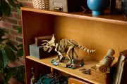 Image : LEGO 77985 Les fossiles de dinosaure: le tricératops - Jurassic World