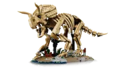 Image : LEGO 77985 Les fossiles de dinosaure: le tricératops - Jurassic World