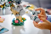Image : LEGO 31388 Animaux sauvages: la famille de koalas - Creator 3-en-1