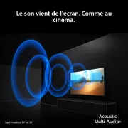 Image : SONY 65BRAVIA7II - TV True RGB 2026 65'