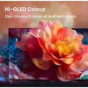 Image : HISENSE 55E7S - TV QLED 55' 2026