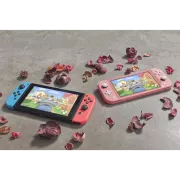 Image : Nintendo Switch Lite Corail