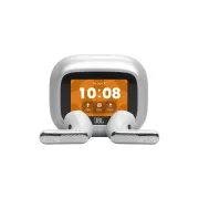 JBL Live Flex 4 Argent - Ecouteurs
