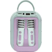 LEXIBOOK Karaoke Bluetooth La reine des neiges avec 2 micros sans fil