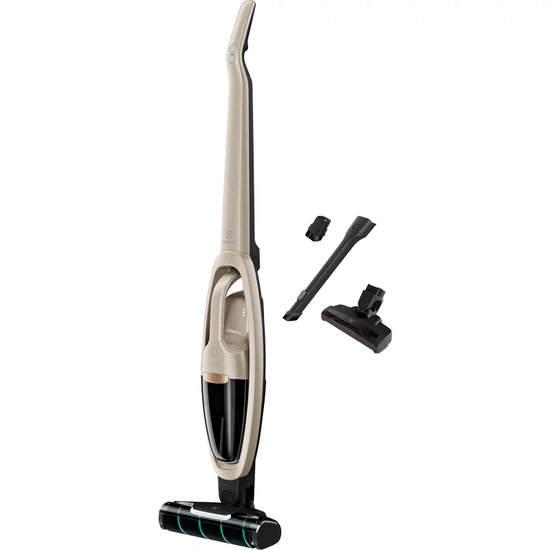 Image : Aspirateur Electrolux WQ71-P52SS Well