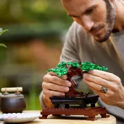 Image : LEGO Creator Expert 10281 Bonsai